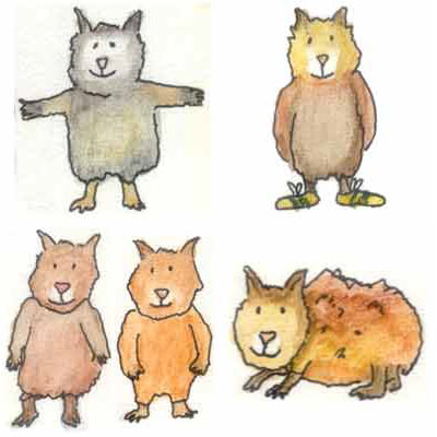 Werbeagentur K-Design: Kinderbuchillustrationen Meerschweinchen