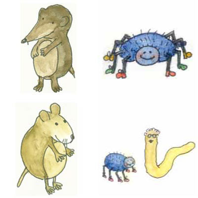 Werbeagentur K-Design: Illustrationen Kinderbuchillustrationen Spinnen und Mäuse